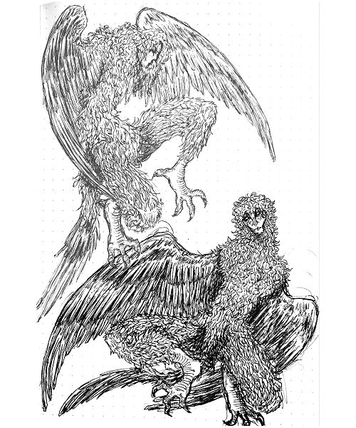 harpies